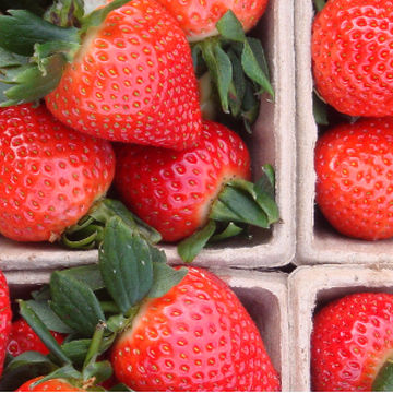 Our Fruit
